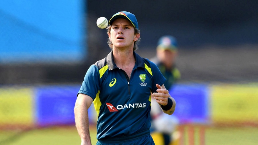 zampa