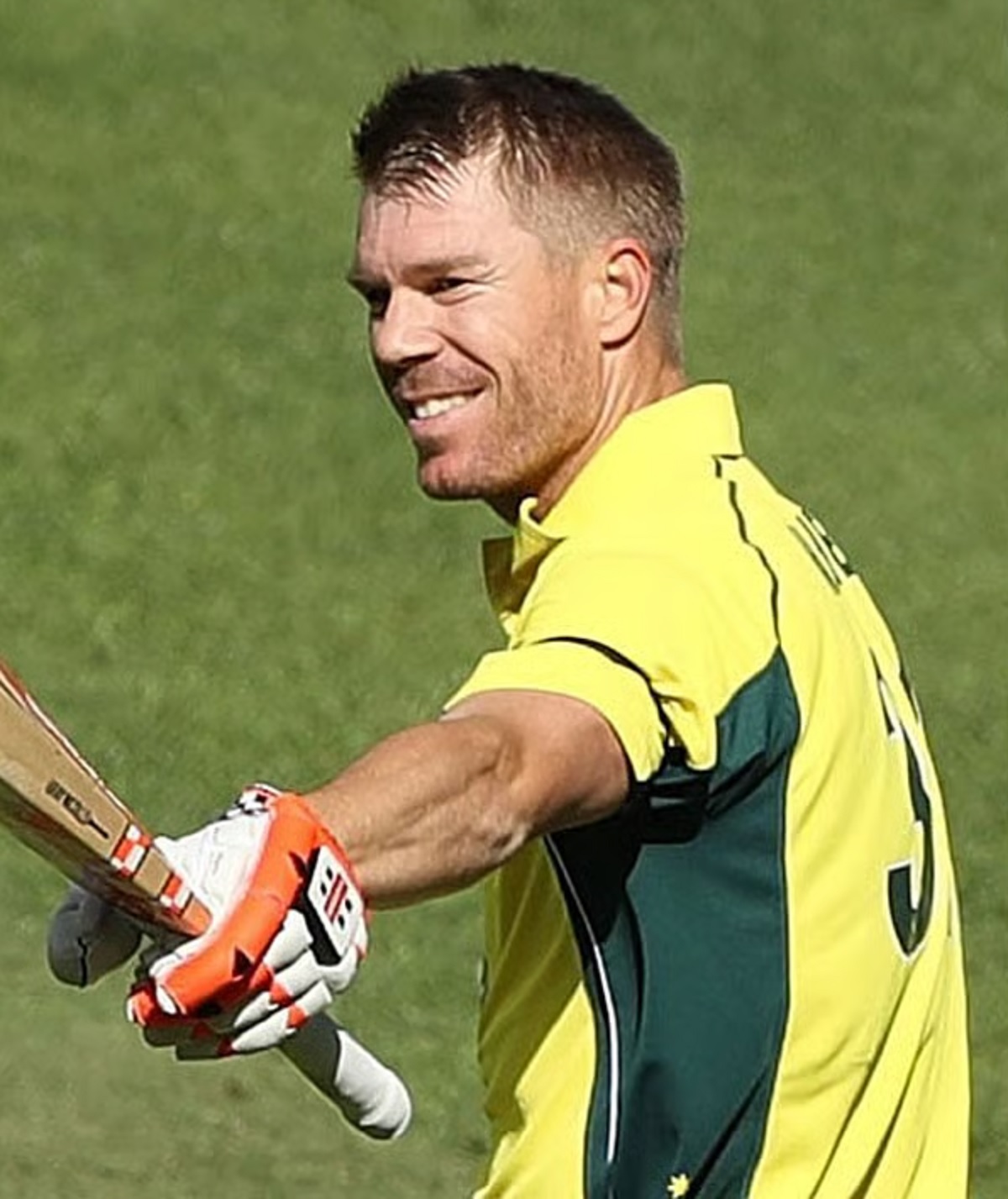 David Warner Statement